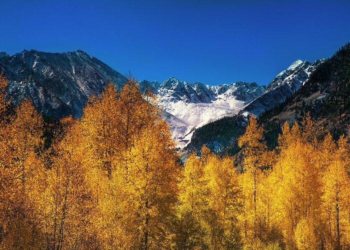 Autumn Greeting Card featuring the photograph Autumn In Colorado by Andrew Soundarajan