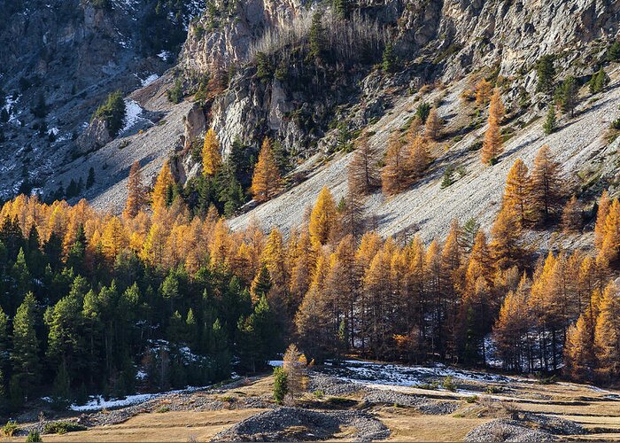 Colors Of Fall Greeting Card featuring the photograph Autumn in French Alps - 15 by Paul MAURICE