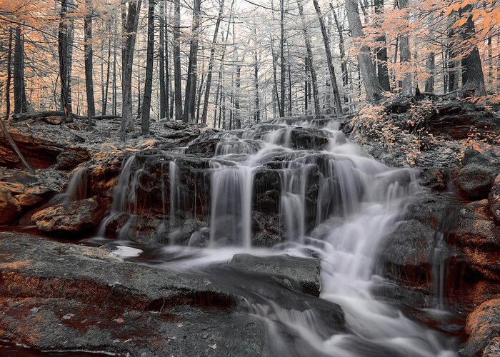 Tucker Brook Falls Milford Nh New Hampshire England U.s.a. Usa Outside Outdoors Full Spectrum Fullspectrum Spring Ir Infrared Infra Red Nature Natural Water Fall Waterfall Longexposure Long Exposure Trees Forest Secluded Favorite Greeting Card featuring the photograph Autumn in Spring Infrared by Brian Hale