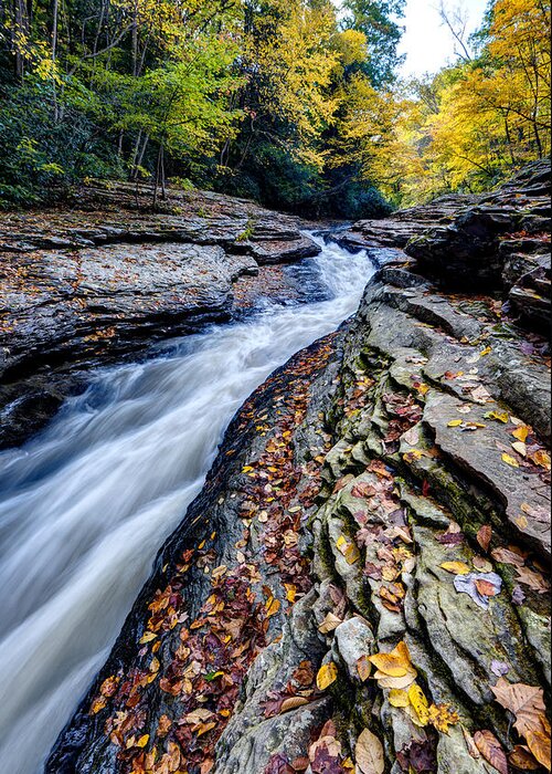 Appalachian Greeting Card featuring the photograph Autumn in the Appalachians by Matt Hammerstein