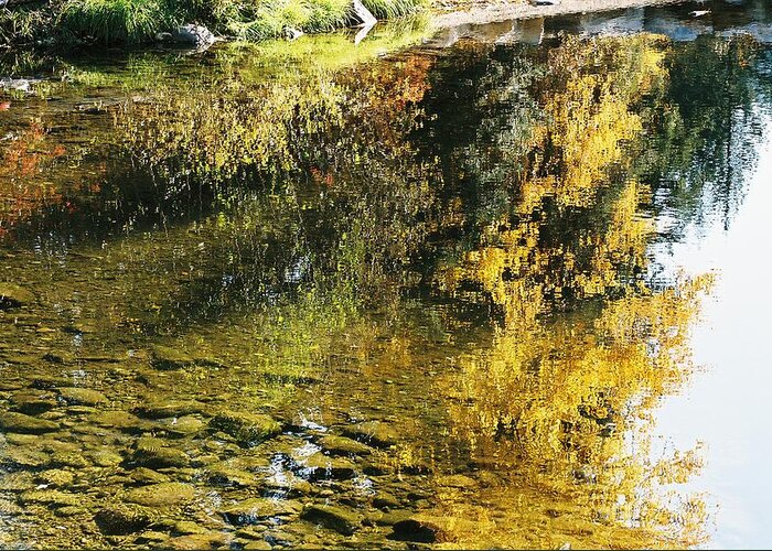 Autumn Greeting Card featuring the photograph Autumn in the water by Frank Larkin