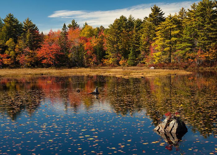 Autumn Greeting Card featuring the photograph Autumn Lake Reflections by Irwin Barrett