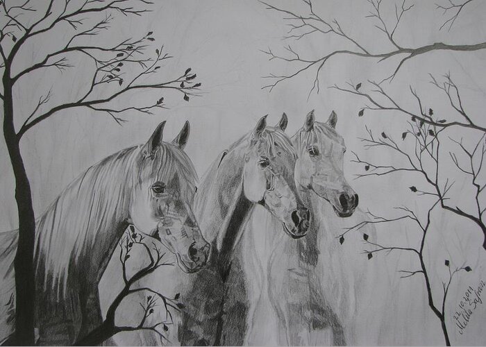 Horses Greeting Card featuring the drawing Autumn by Melita Safran