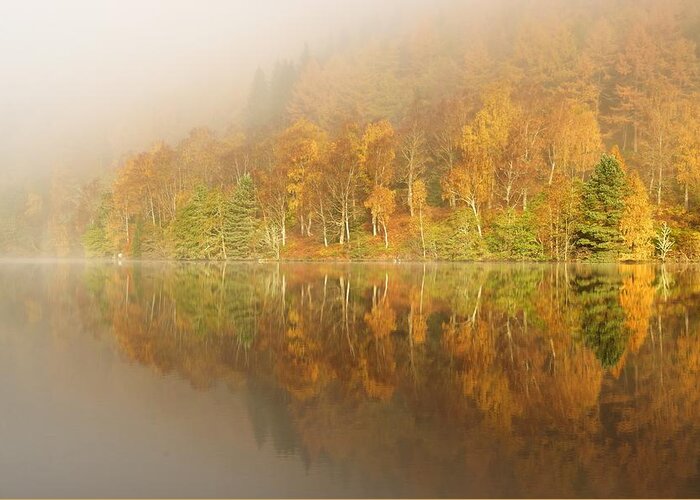 Trees Greeting Card featuring the photograph Autumn mist on Loch Tummel by Stephen Taylor