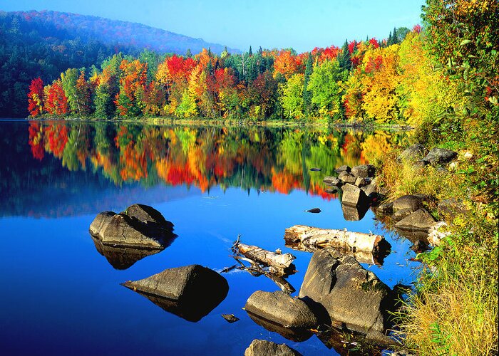 Landscape-autumn-river-adirondack Mts. Greeting Card featuring the photograph Autumn Morning by Frank Houck
