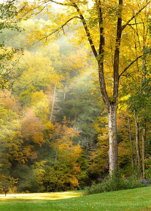 Autumn Greeting Card featuring the photograph Autumn Morning Rays by Brian Caldwell