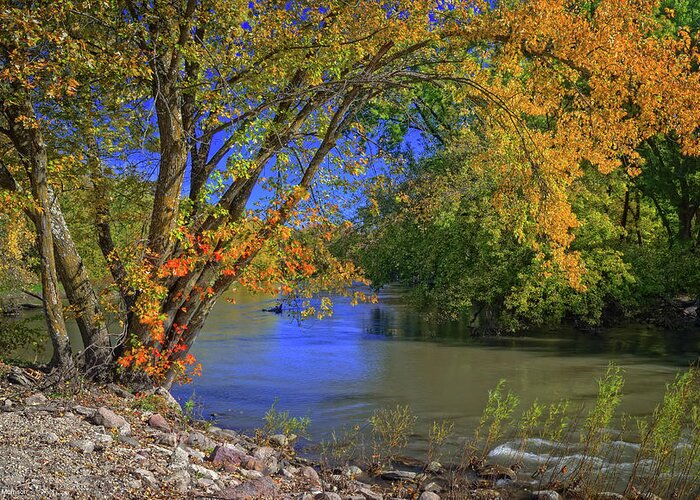 Landscapes Greeting Card featuring the photograph Autumn on the North Raccoon by Bruce Morrison