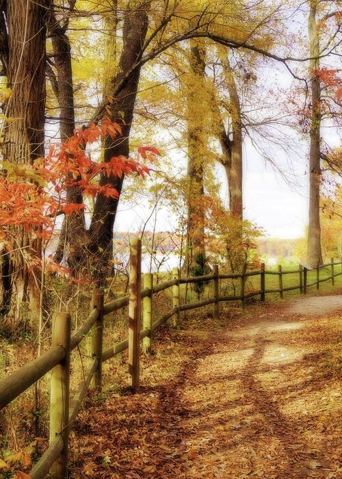 Autumn Greeting Card featuring the photograph Autumn Pathway by Jean Goodwin Brooks