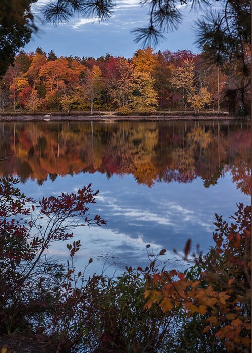 Terry D Photography Greeting Card featuring the photograph Autumn Peeking Through Lake Horicon NJ by Terry DeLuco