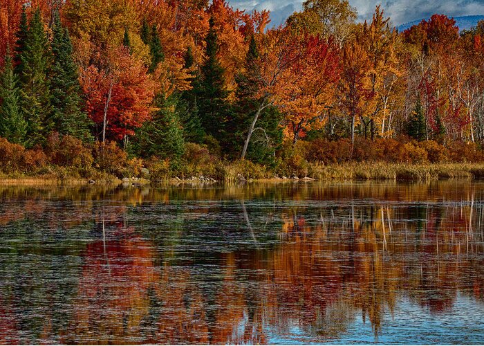 #jefffolger Greeting Card featuring the photograph Autumn reflections at Pondicherry refuge by Jeff Folger