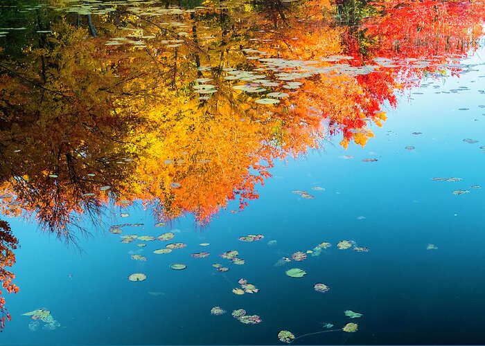 Intimate Landscape Greeting Card featuring the photograph Autumn Reflections by John Roach