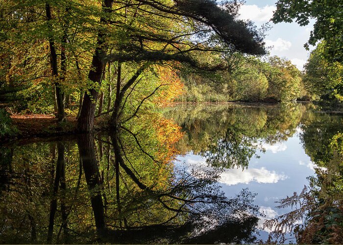 Autumn Greeting Card featuring the photograph Autumn reflections by Shirley Mitchell