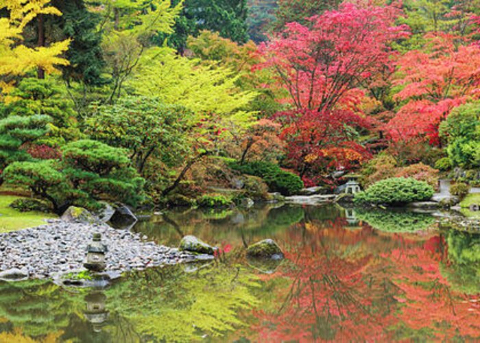 Seattle Japanese Garden Greeting Card featuring the photograph Autumn Revealed by Briand Sanderson
