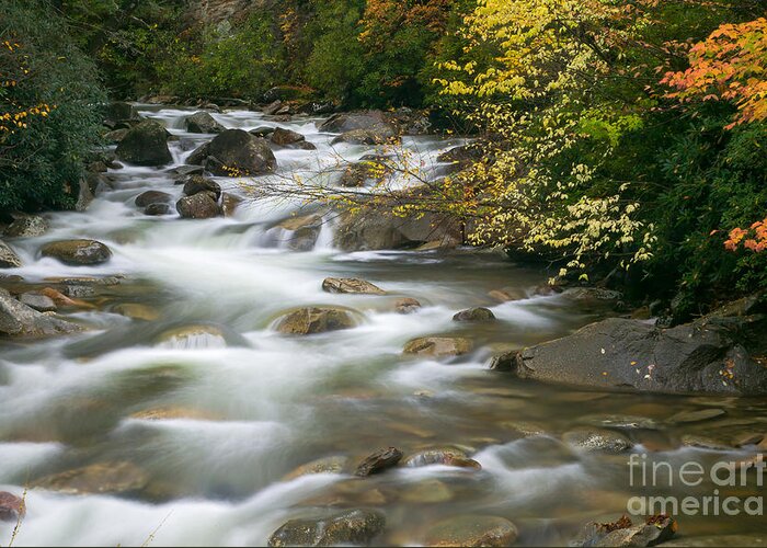 Clarence Holmes Greeting Card featuring the photograph Autumn River Cascades II by Clarence Holmes
