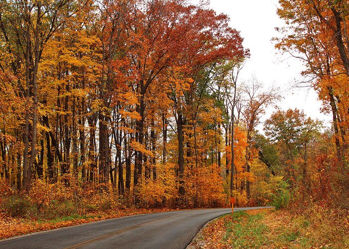 Autumn Greeting Card featuring the photograph Autumn Road Trip by Shawna Rowe