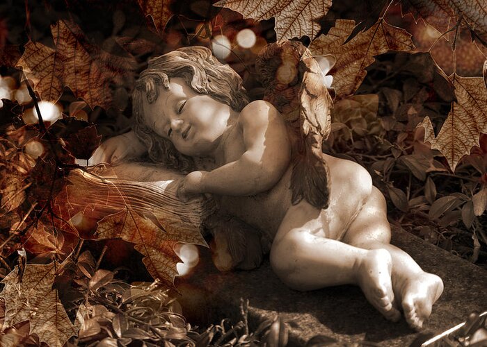 Angel Greeting Card featuring the photograph Autumn Sleep by Marc Huebner