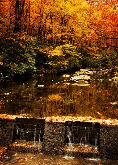 Tellico River Greeting Card featuring the photograph Autumn Spillway by Greg and Chrystal Mimbs