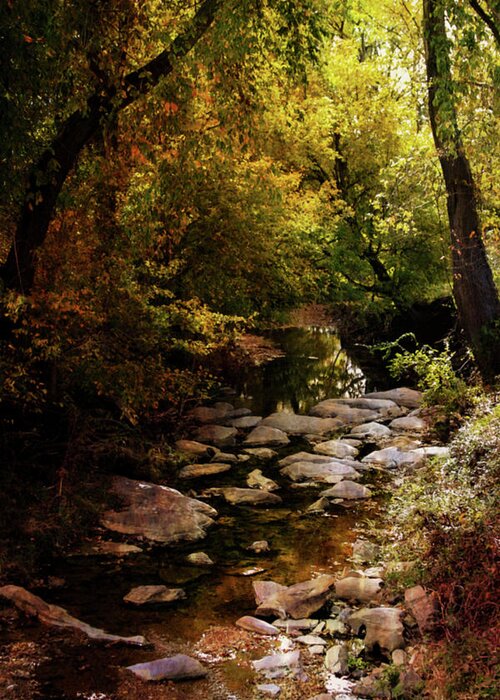 Autumn Stream Greeting Card featuring the photograph Autumn Stream 6163 H_2 by Steven Ward