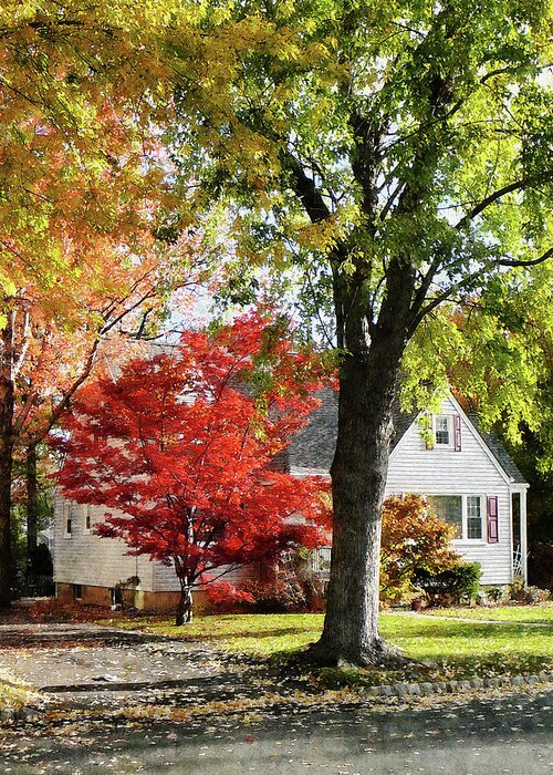 Suburban Greeting Card featuring the photograph Autumn Street With Red Tree by Susan Savad