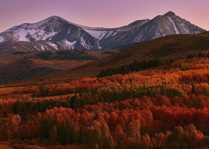 Fall Greeting Card featuring the photograph Autumn sunset at Conway Summit in the Eastern Sierras by Jetson Nguyen