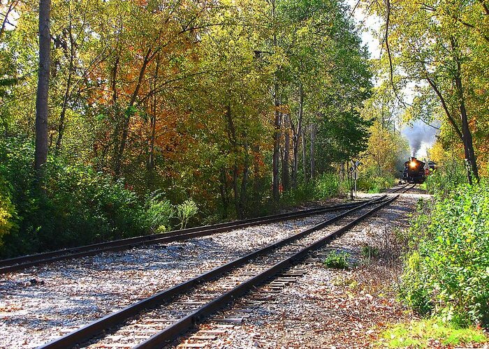Hovind Greeting Card featuring the photograph Autumn Train by Scott Hovind