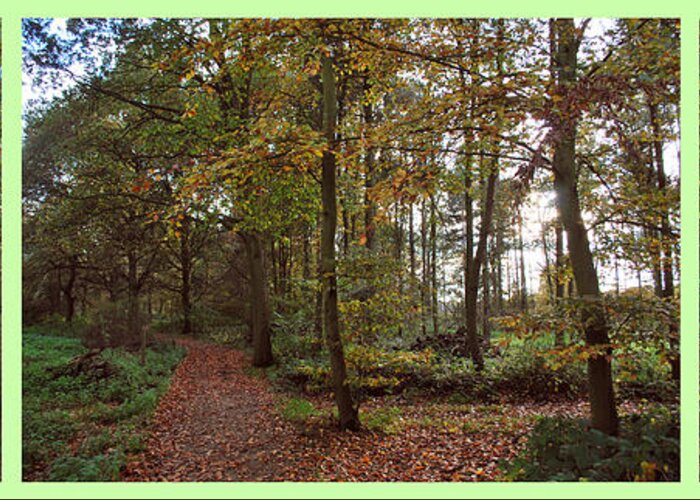 Triptych Greeting Card featuring the photograph Autumn Triptych by Terence Davis