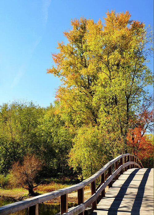 Autumn Greeting Card featuring the photograph Autumnal North Bridge by Luke Moore