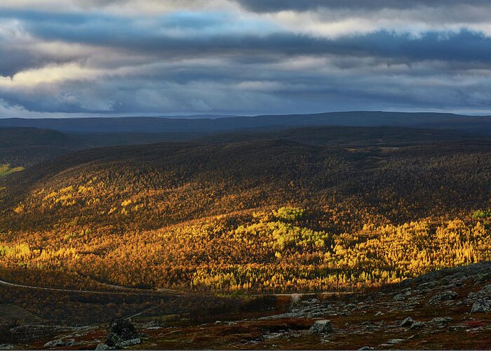 Sun Rays Greeting Card featuring the photograph Autumnal River Valley by Pekka Sammallahti