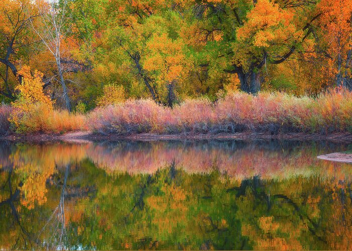 Fall Colors Greeting Card featuring the photograph Autumn's Color Palette by Darren White