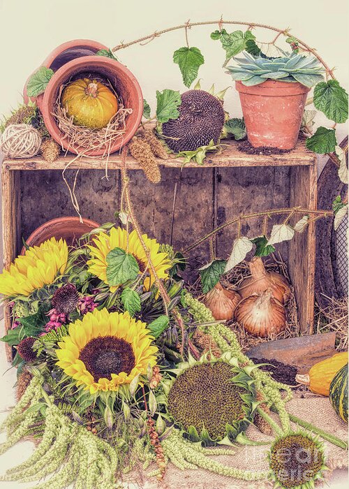 The Kitchen Garden Greeting Card featuring the photograph Autumns End by Tim Gainey