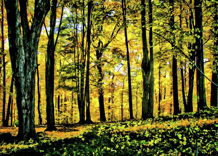 Autumn Greeting Card featuring the photograph Autumn's Glow by Monroe Payne