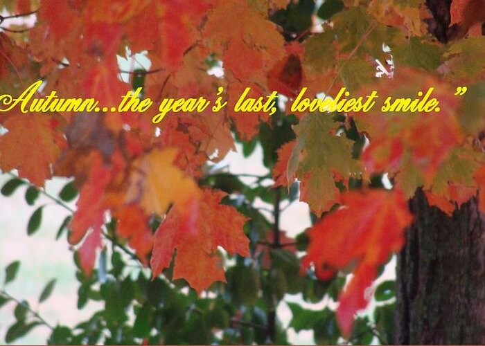 Autumn Quote Greeting Card featuring the photograph Autumn's last Smile Photo by Stacie Siemsen