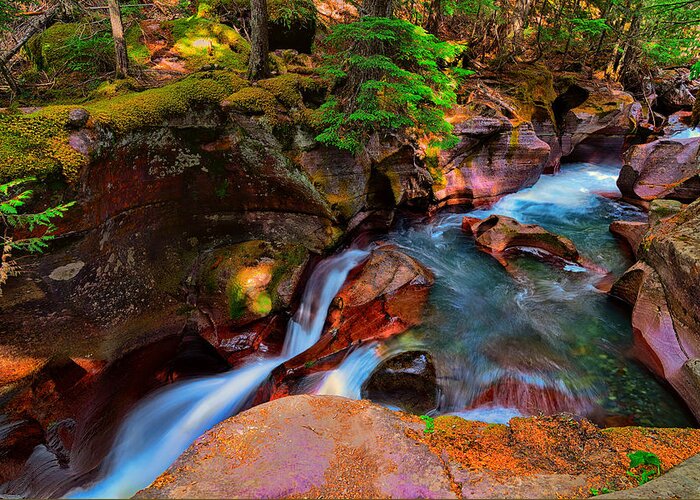 Avalanche Creek Greeting Card featuring the photograph Avalanche Creek by Greg Norrell