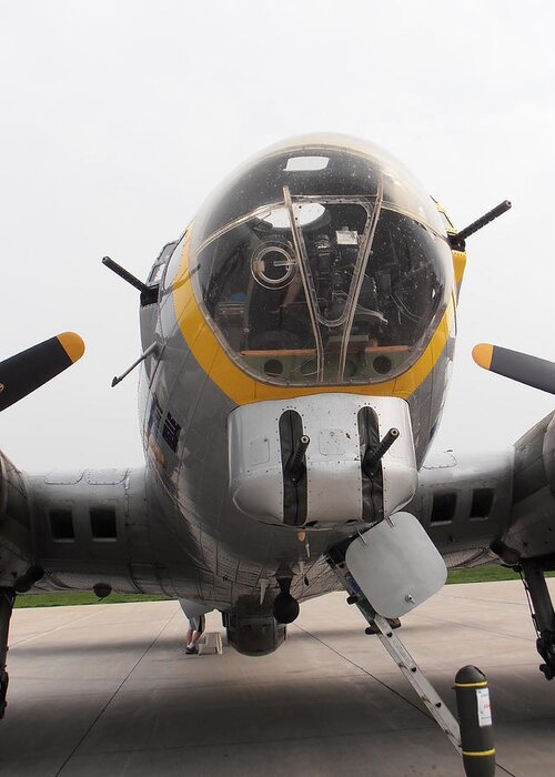 B17 Greeting Card featuring the photograph B17 Nose by Tim Donovan