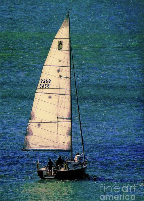 Sailboat Greeting Card featuring the photograph Backlit by the Sun by Sue Melvin