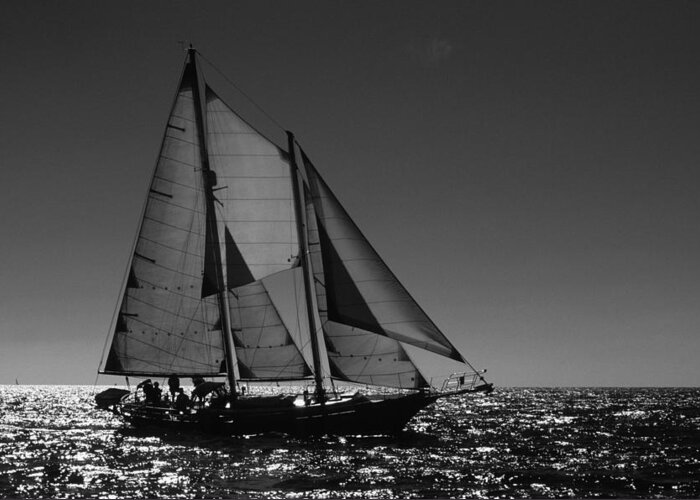 Sailing Greeting Card featuring the photograph Backlit Schooner 2 by David Shuler