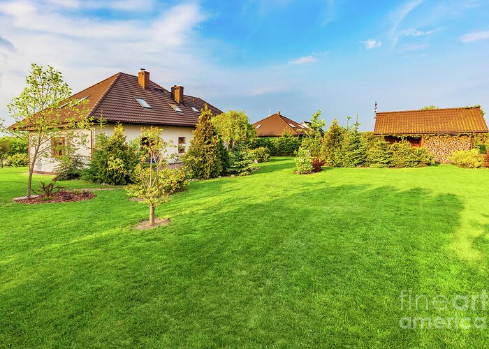Garden Greeting Card featuring the photograph Backyard of a family house. Spacious landscaped garden with green mown grass by Michal Bednarek