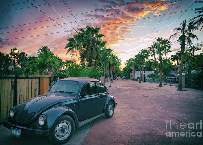 Beetle Greeting Card featuring the photograph Baja Beetle by Becqi Sherman