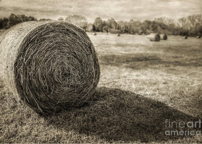 Bales Greeting Card featuring the photograph Bales by John Anderson
