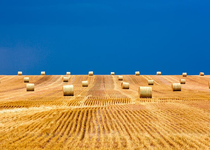 Field Greeting Card featuring the photograph Bales on the Storm by Todd Klassy