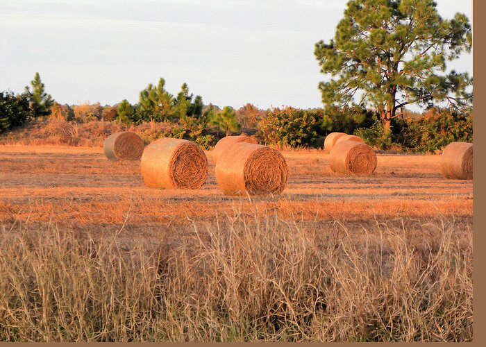 Bales Greeting Card featuring the photograph Bales by Rosalie Scanlon
