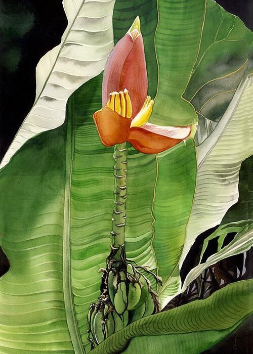 Flower Greeting Card featuring the painting Banana Blossom by Alfred Ng
