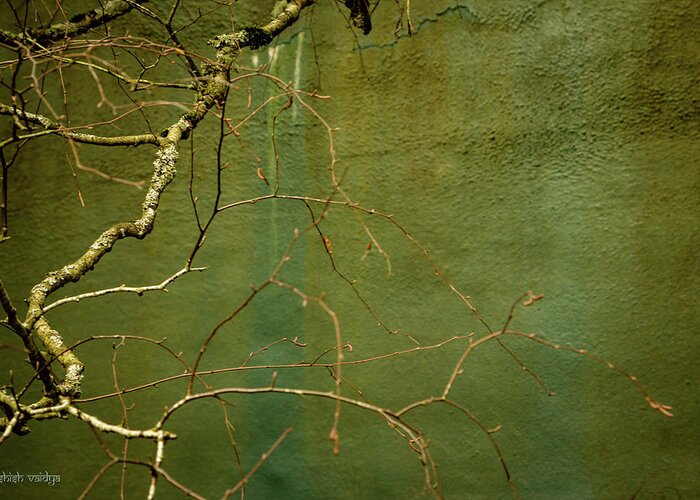 Wall Greeting Card featuring the photograph Bare Branch and Wall by Aashish Vaidya