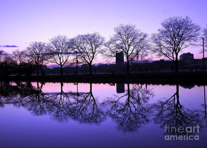 Landscape Greeting Card featuring the photograph Bare Tree Reflection by Beth Myer Photography