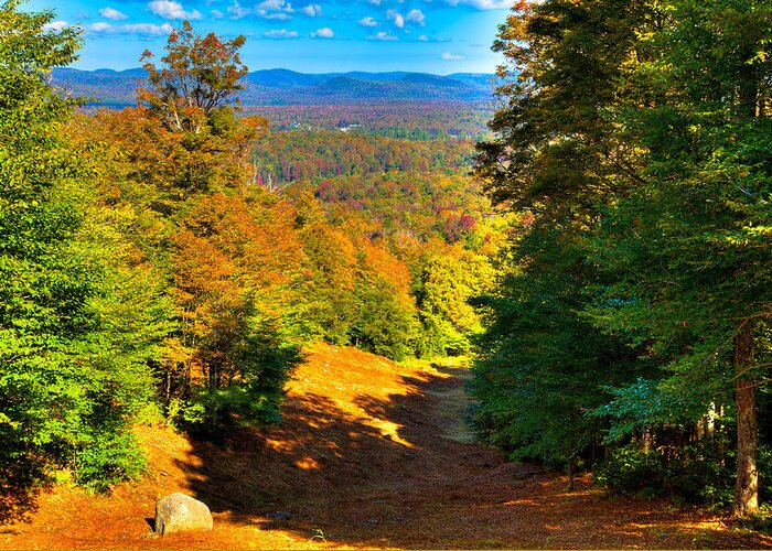 Barkeater Trail On Mc Cauley Mountain Greeting Card featuring the photograph Barkeater Trail on Mc Cauley Mountain by David Patterson