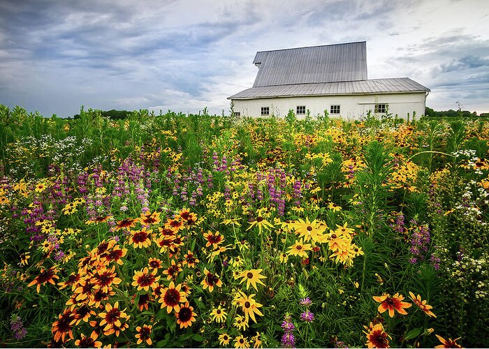 Gloriosa Daisy Greeting Card featuring the photograph Barn and Wildflowers by Ron Pate