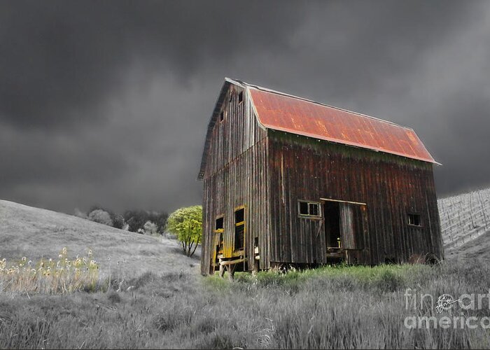 Old Barn Greeting Card featuring the photograph Barn Life by TK Goforth