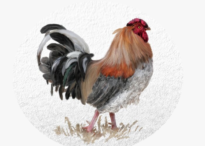 Rooster Greeting Card featuring the digital art Barnyard Boss by Lois Bryan