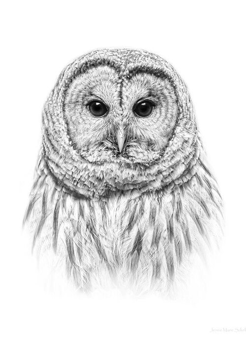 Owl Greeting Card featuring the photograph Barred Owl Portrait Black and White by Jennie Marie Schell