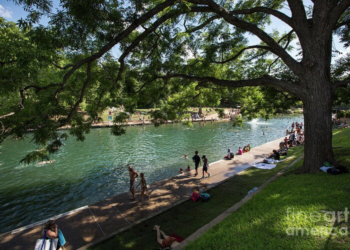 Barton Springs Pool Greeting Card featuring the photograph Barton Springs Pool is a shady grove of live oak trees dating ba by Dan Herron